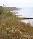 Openlands Lakeshore Preserve Shoreline